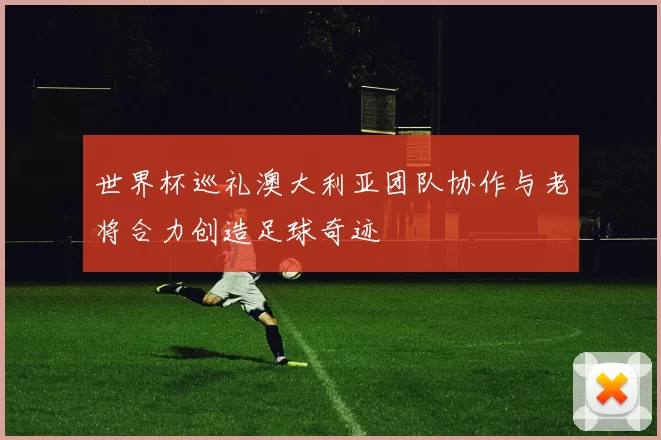 世界杯巡礼澳大利亚团队协作与老将合力创造足球奇迹